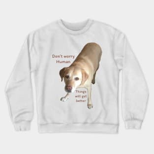 Don’t Worry Human Crewneck Sweatshirt